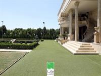 استفاده از چمن مصنوعی در مجالس عروسی