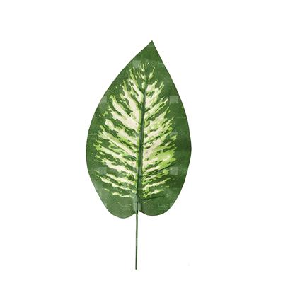 گیاه مصنوعی مدل برگ دیفن باخیا