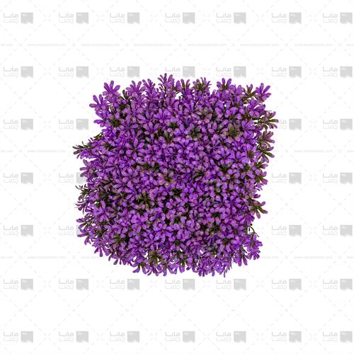 دیوار سبز مصنوعی مدل رزماری رنگ بنفش