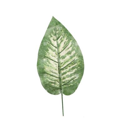 گیاه مصنوعی مدل برگ دیفن باخیا