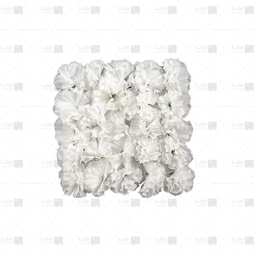 دیوار سبز مصنوعی مدل میخک رنگ سفید