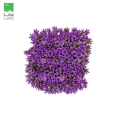 دیوار سبز مصنوعی مدل رزماری رنگ بنفش