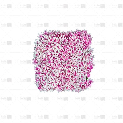 دیوار سبز مصنوعی مدل رزماری رنگ صورتی و سفید