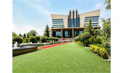 چمن مصنوعی باغ تالار