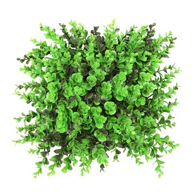 دیوار سبز مصنوعی مدل شمشاد سبز روشن