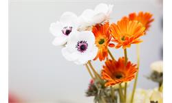 خانه شیک و زیبا با گل مصنوعی