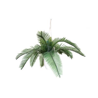 گلدان آویز سقفی مدل گل سیکاس