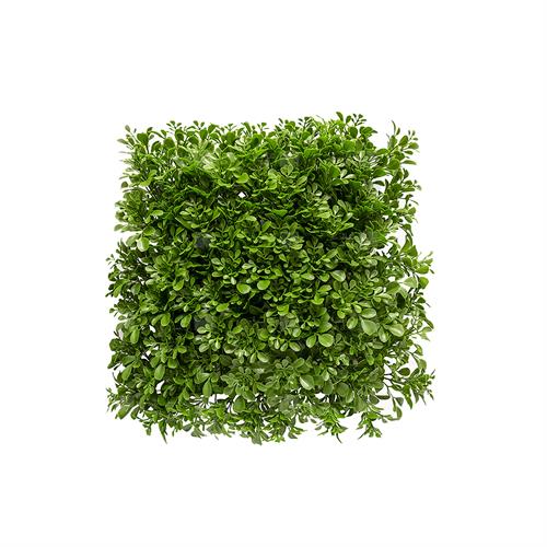 دیوار سبز مصنوعی مدل شبدر