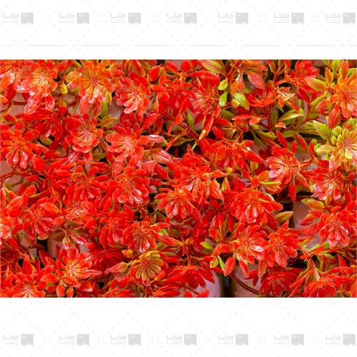 دیوار سبز خورشیدی رنگ نارنجی 3