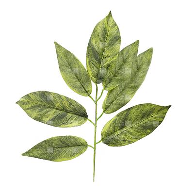 گیاه مصنوعی مدل برگ گردو