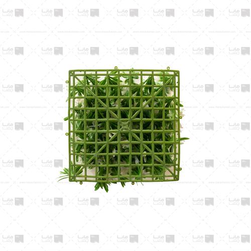 دیوار سبز آناناسی 100 برگ رنگ سبز و سفید ابعاد 30*40