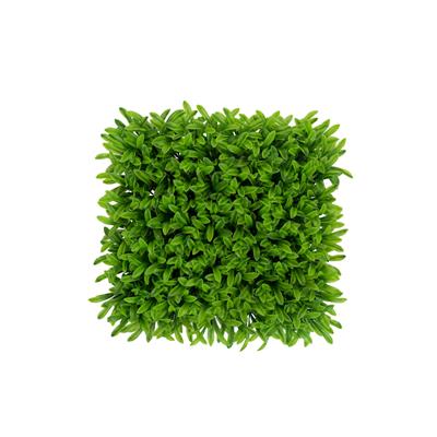 دیوار سبز مصنوعی مدل آناناسی رنگ سبز