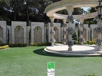 استفاده از چمن مصنوعی در مجالس عروسی