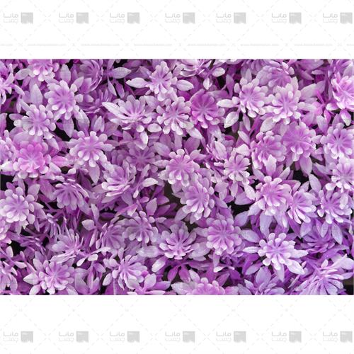دیوار سبز مصنوعی مدل خورشیدی رنگ بنفش روشن و سفید 2