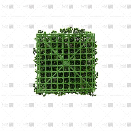 دیوار سبز شکوفه 100 برگ ابعاد 25*25