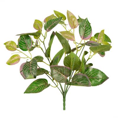 گیاه مصنوعی مدل بوته فیتونیا