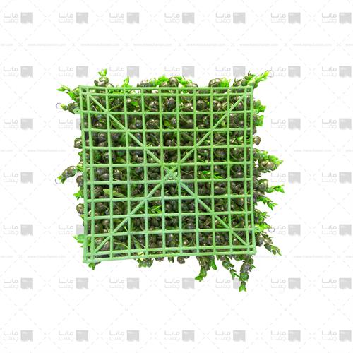 دیوار سبز مصنوعی مدل پونه - آناناسی ابعاد 25*25