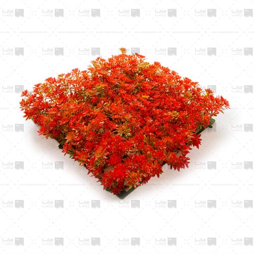 دیوار سبز خورشیدی رنگ نارنجی 4