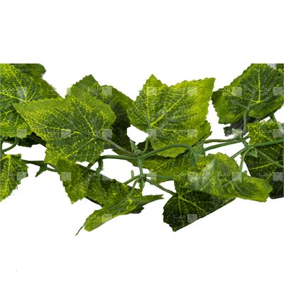 ریسه گیاه مصنوعی مدل پاپیتال