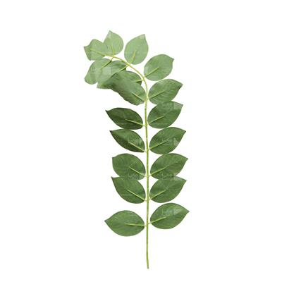 گیاه مصنوعی مدل برگ پرتقال سبز تیره