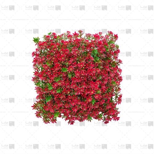 دیوار سبز خورشیدی رنگ قرمز