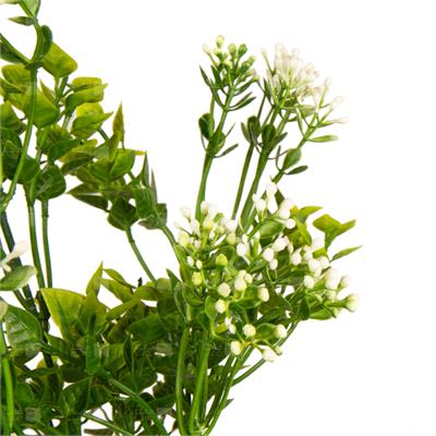 گیاه مصنوعی مدل بوته آگلایا با شکوفه سفید