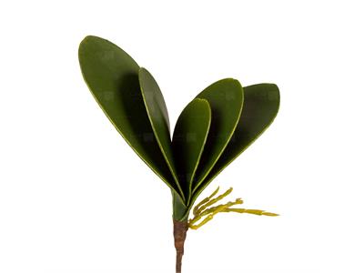 گیاه مصنوعی مدل برگ ارکیده