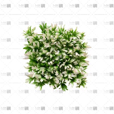 دیوار سبز مصنوعی مدل آناناسی 50 برگ رنگ سبز و سفید ابعاد 25*25