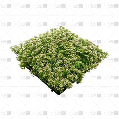 دیوار سبز خورشیدی رنگ سبز، سفید 4