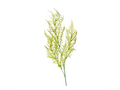 گیاه مصنوعی مدل شوید