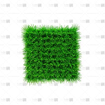 دیوار سبز چمنی ابعاد 25*25