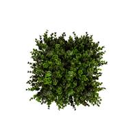 دیوار سبز مصنوعی مدل شمشاد سبز و مشکی ابعاد 25*25