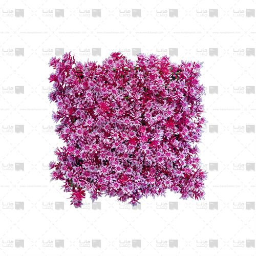 دیوار سبز مصنوعی مدل خورشیدی رنگ سرخابی و سفید