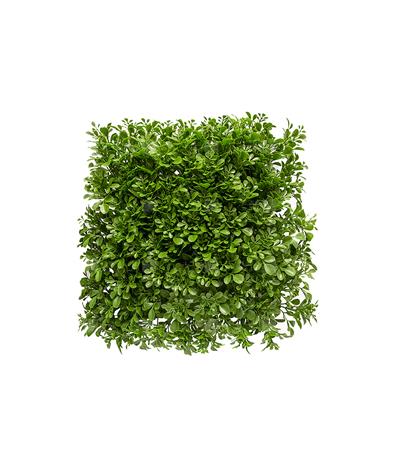 دیوار سبز مصنوعی مدل شبدر