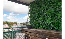 دیوار سبز مصنوعی را بهتر بشناسیم