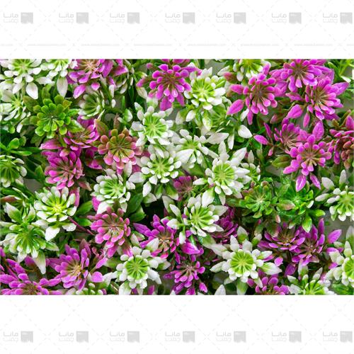 دیوار سبز خورشیدی رنگ سبز، سفید و بنفش2