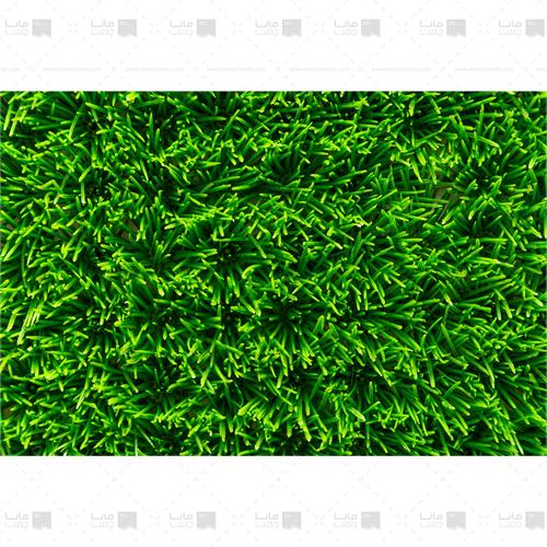 دیوار سبز چمنی 3