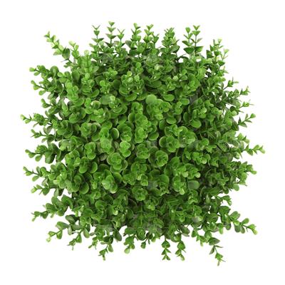 دیوار سبز مصنوعی مدل شمشاد سبز