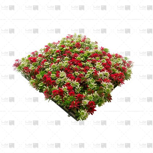 دیوار سبز خورشیدی رنگ سبز، سفید و قرمز4