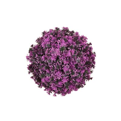 گل مصنوعی توپی مدل داوودی بنفش سایز کوچک