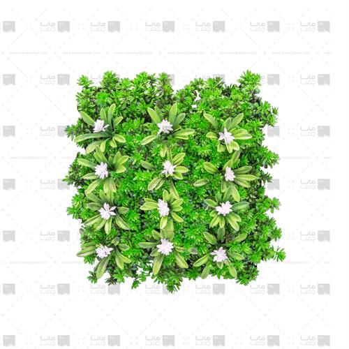 دیوار سبز مصنوعی مدل خورشیدی - آناناسی ابعاد 25*25