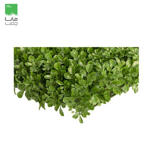 دیوار سبز مصنوعی مدل شبدر