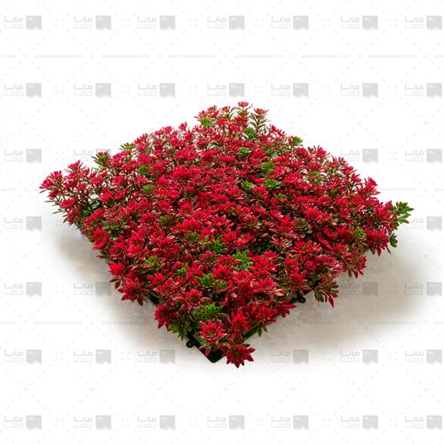 دیوار سبز خورشیدی رنگ قرمز 4