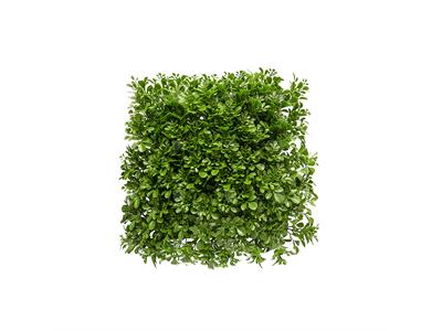 دیوار سبز مصنوعی مدل شبدر