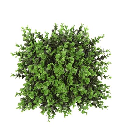 دیوار سبز مصنوعی مدل شمشاد