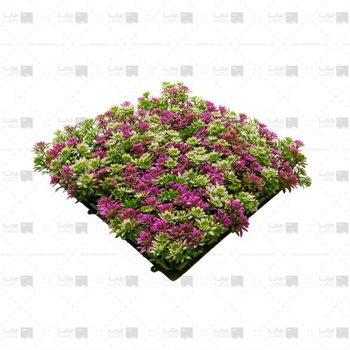 دیوار سبز خورشیدی رنگ سبز، سفید و بنفش3