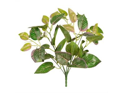 گیاه مصنوعی مدل بوته فیتونیا