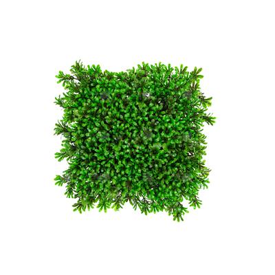 دیوار سبز مصنوعی مدل رزماری رنگ سبز