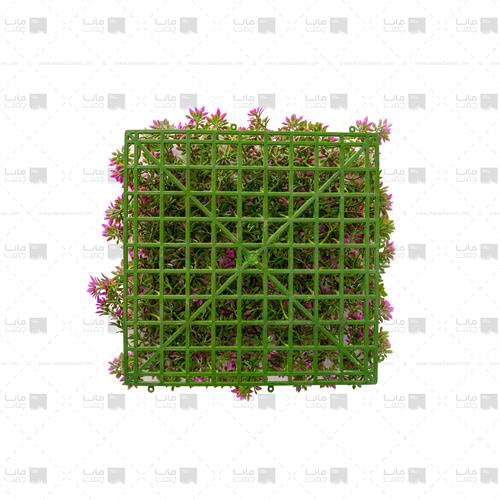 دیوار سبز خورشیدی رنگ بنفش 2