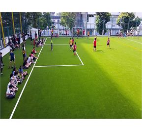 چمن مصنوعی مدارس